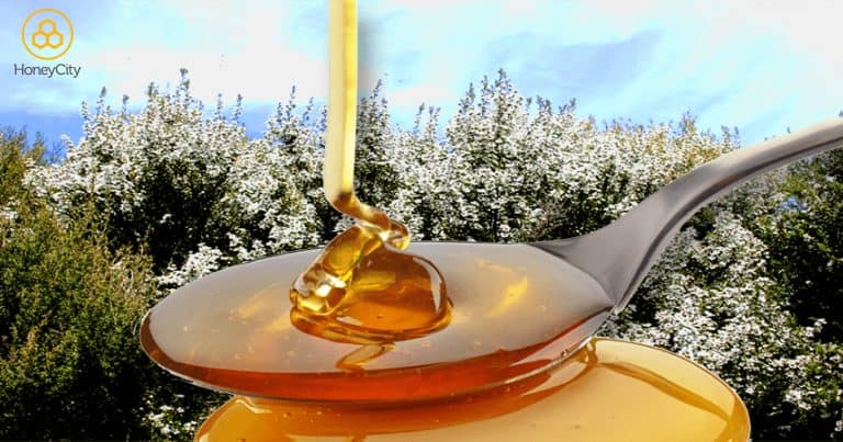 What Does UMF® Mean for Manuka Honey?