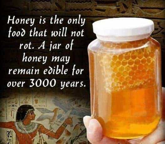 Text That Says Honey Will Never Rot 