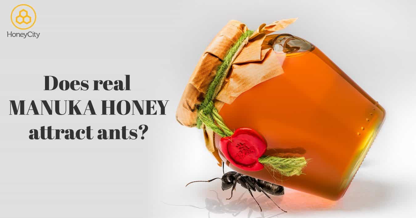 Does Manuka Honey attract ants?