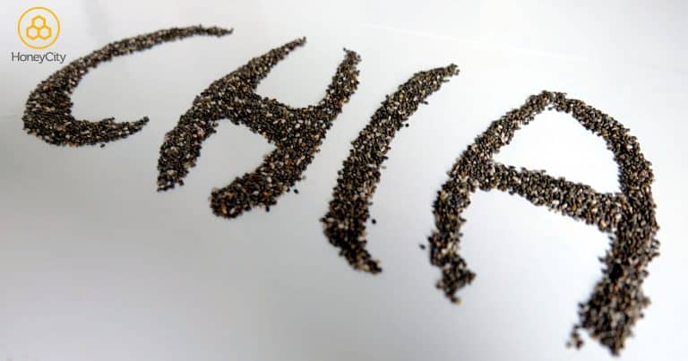 Chia Seeds: What Are They and Why Are They a Life-changing Superfood?