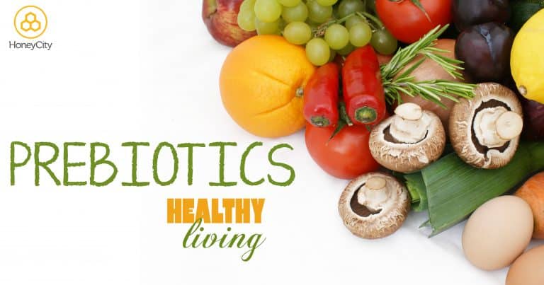 Discover Probiotics and Prebiotics: The Benefits and Differences