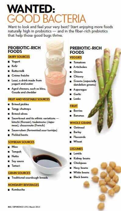 Prebiotic and probiotics food source