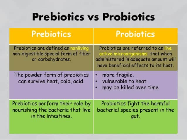the differences between prebiotics and probiotics