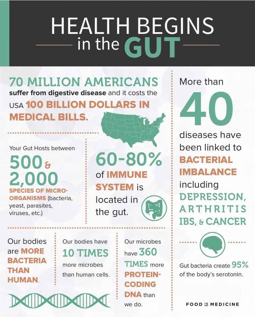 Gut Health Infographic From Dr Axe 