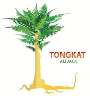 The Tongkat Ali Tree