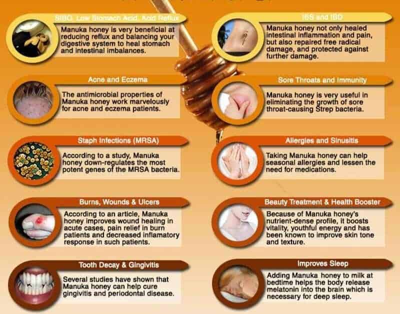 Manuka Honey Uses and Benefits