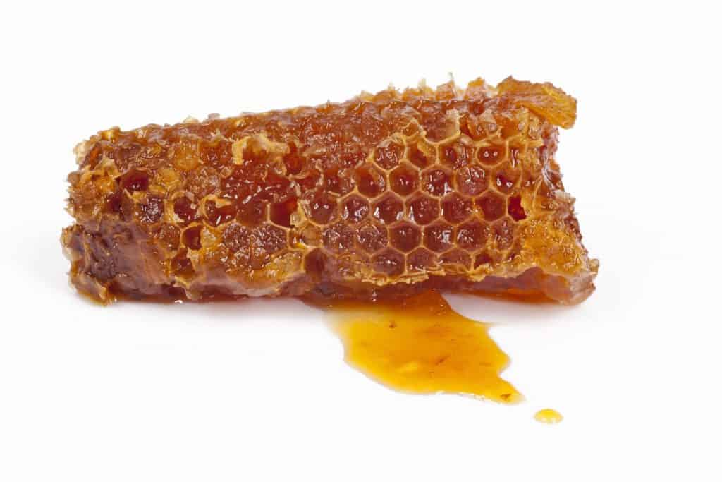 Piece of honeycomb dripping with honey