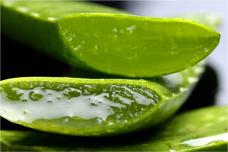 Aloe Vera Skin Benefits - Why is it so good on face?