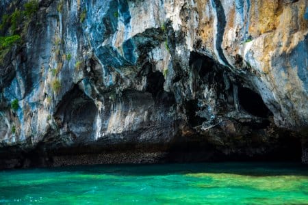 Swiftlet nests in caves