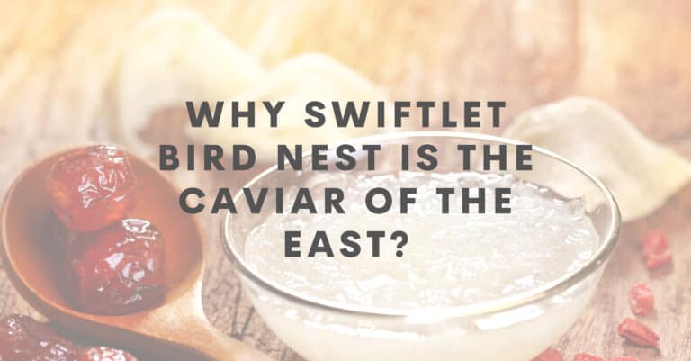 Why the Swiftlet Bird Nest is the Caviar of the East