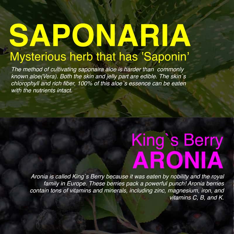 What are aronia berries and aloe saponaria?