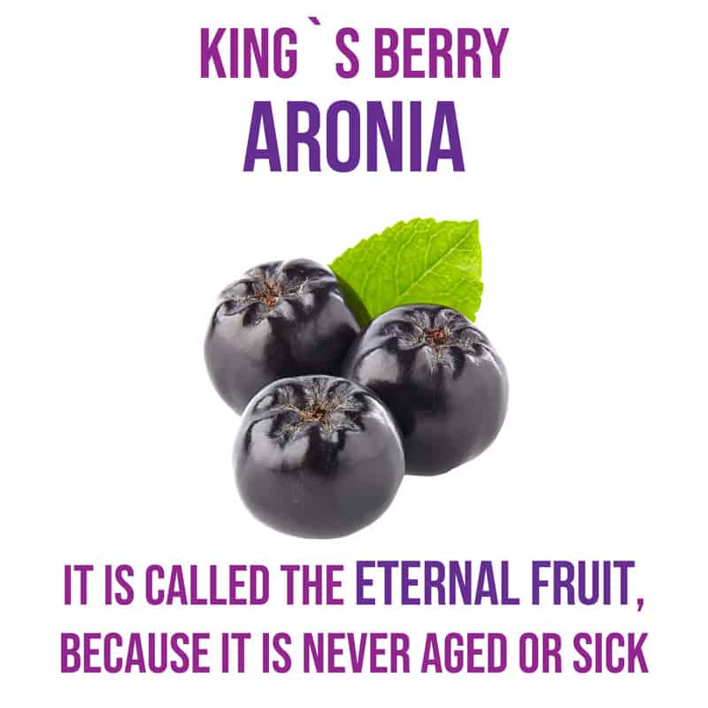 Eternal Fruits of KDYALOE Organic Aloe Saponaria Aronia Berries juice