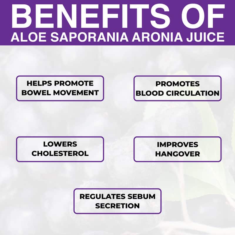 Benefits of KDYALOE Organic Aloe Saponaria Aronia Berries Juice Drinkable Konjac Jelly