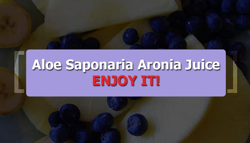 KDYALOE Organic Aloe Saponaria Aronia Berry Juice